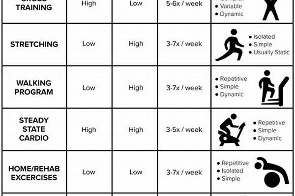 Program Fitness